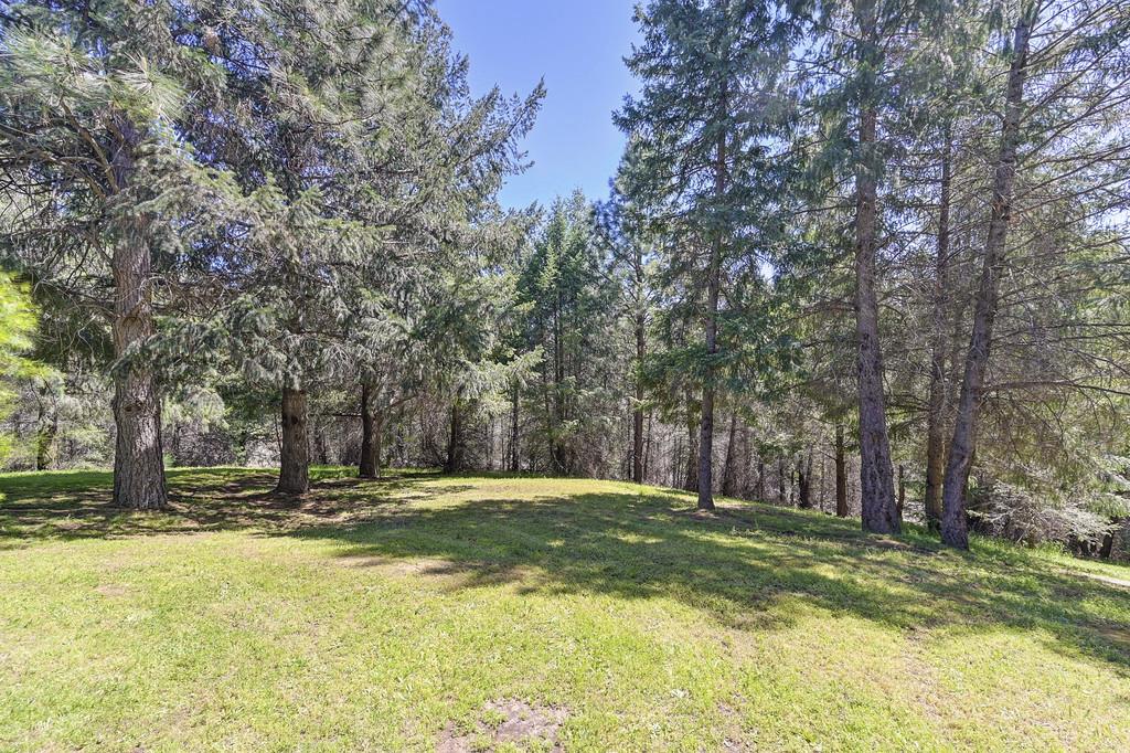 Detail Gallery Image 54 of 87 For 5155 Mac Leod Trl, Georgetown,  CA 95634 - 3 Beds | 2 Baths