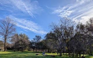 Penny Lane, Lincoln, California image 3