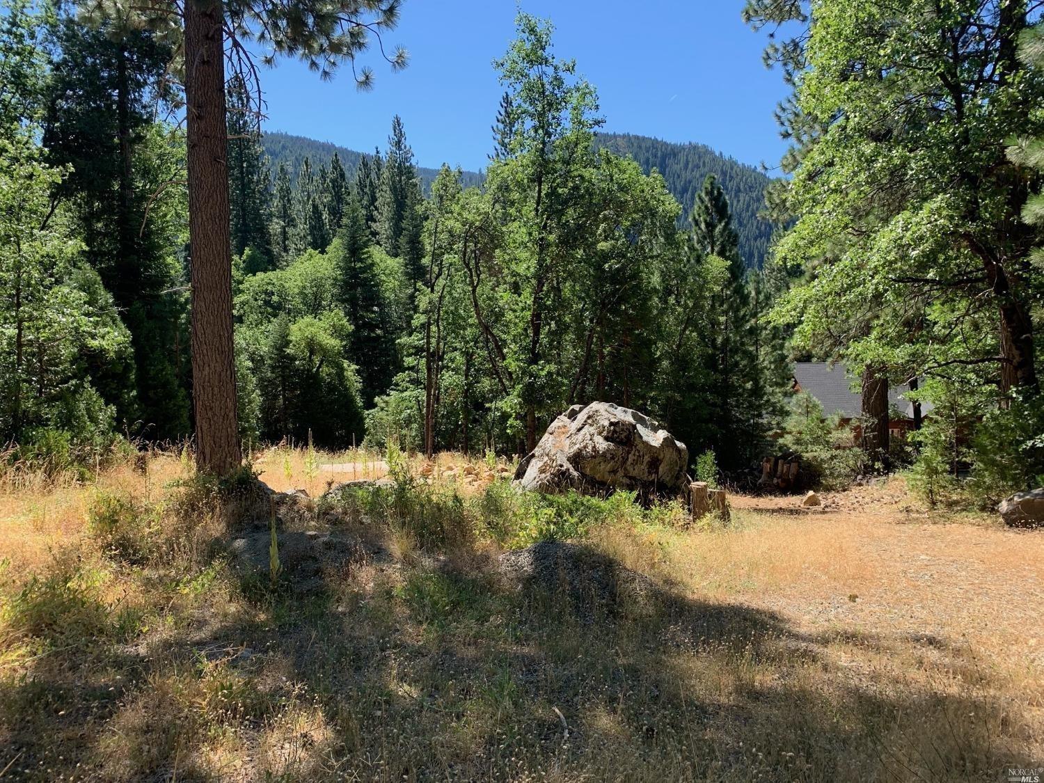 Detail Gallery Image 4 of 10 For 103 Lewis Ln., Sierra City,  CA 96125 - – Beds | – Baths