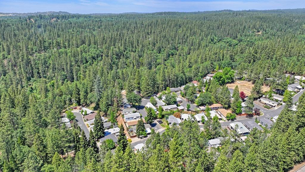 Detail Gallery Image 48 of 56 For 13948 Golden Star Rd, Grass Valley,  CA 95949 - 2 Beds | 2 Baths