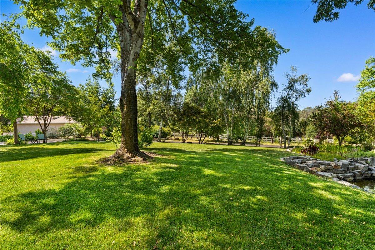 Detail Gallery Image 51 of 73 For 10107 Park View Ln, Penn Valley,  CA 95946 - 3 Beds | 2 Baths
