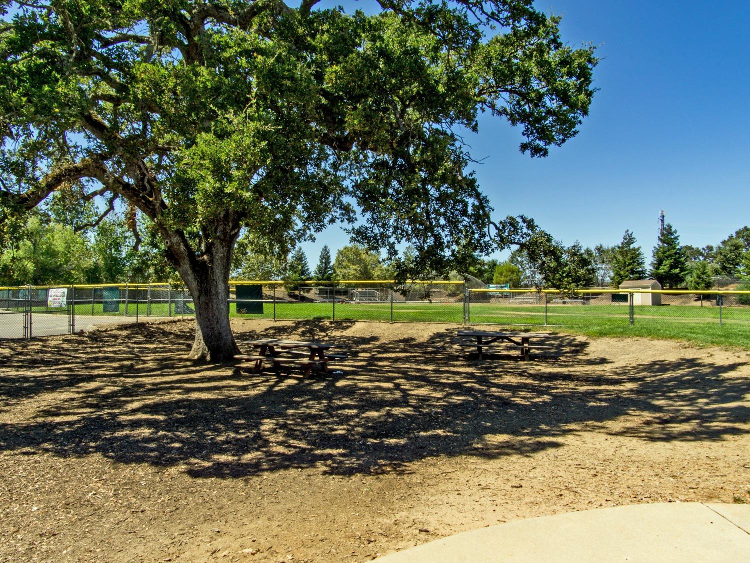 Detail Gallery Image 53 of 59 For 4736 Thoreau Dr, Cameron Park,  CA 95682 - 5 Beds | 3 Baths