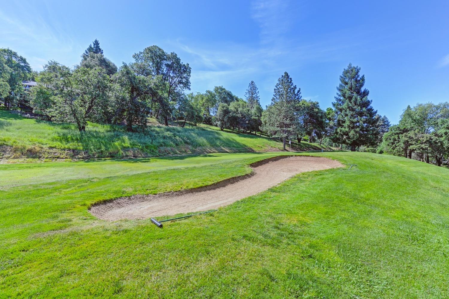 Detail Gallery Image 51 of 66 For 11217 Torrey Pines Dr, Auburn,  CA 95602 - 3 Beds | 2 Baths