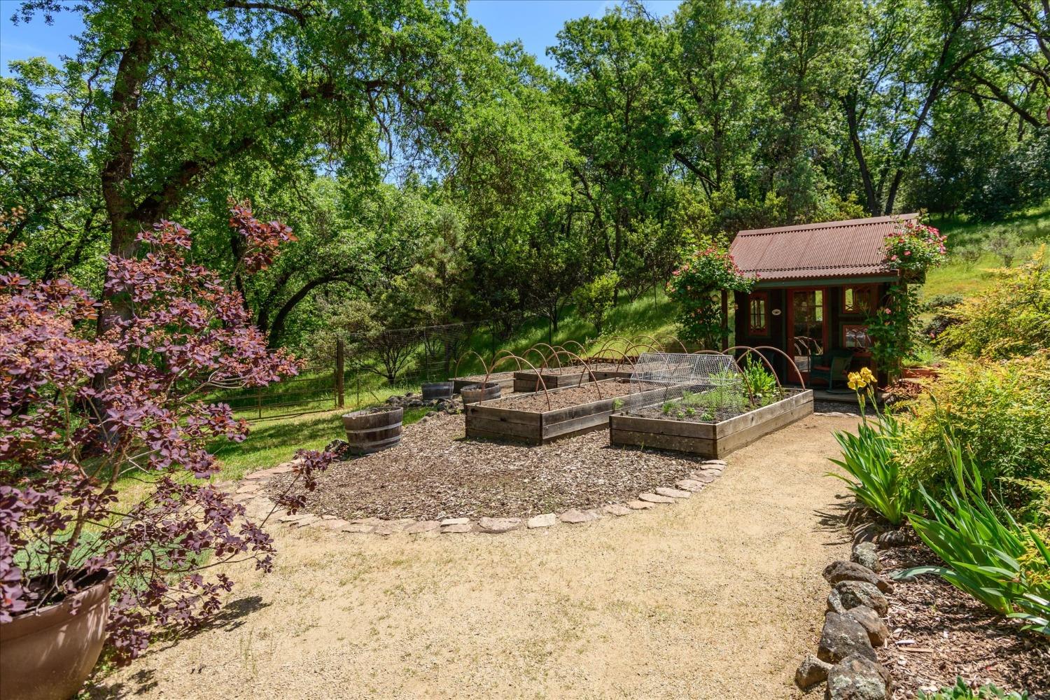 Detail Gallery Image 63 of 86 For 1267 Old Rock Bridge Rd, Placerville,  CA 95667 - 3 Beds | 2 Baths