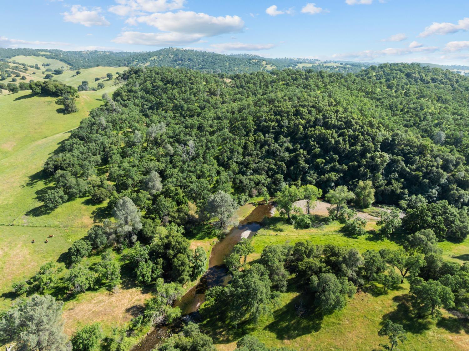 Detail Gallery Image 57 of 60 For 14883 Vaira Ranch Road, Drytown,  CA 95699 - 1 Beds | 1 Baths