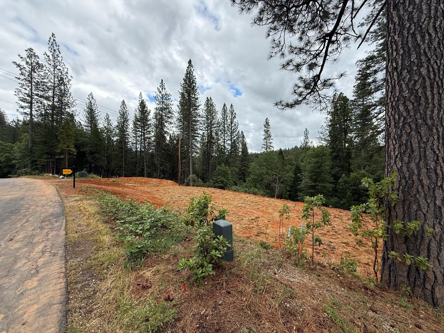 Detail Gallery Image 2 of 6 For 12477 New Brunswick Ct, Grass Valley,  CA 95945 - – Beds | – Baths