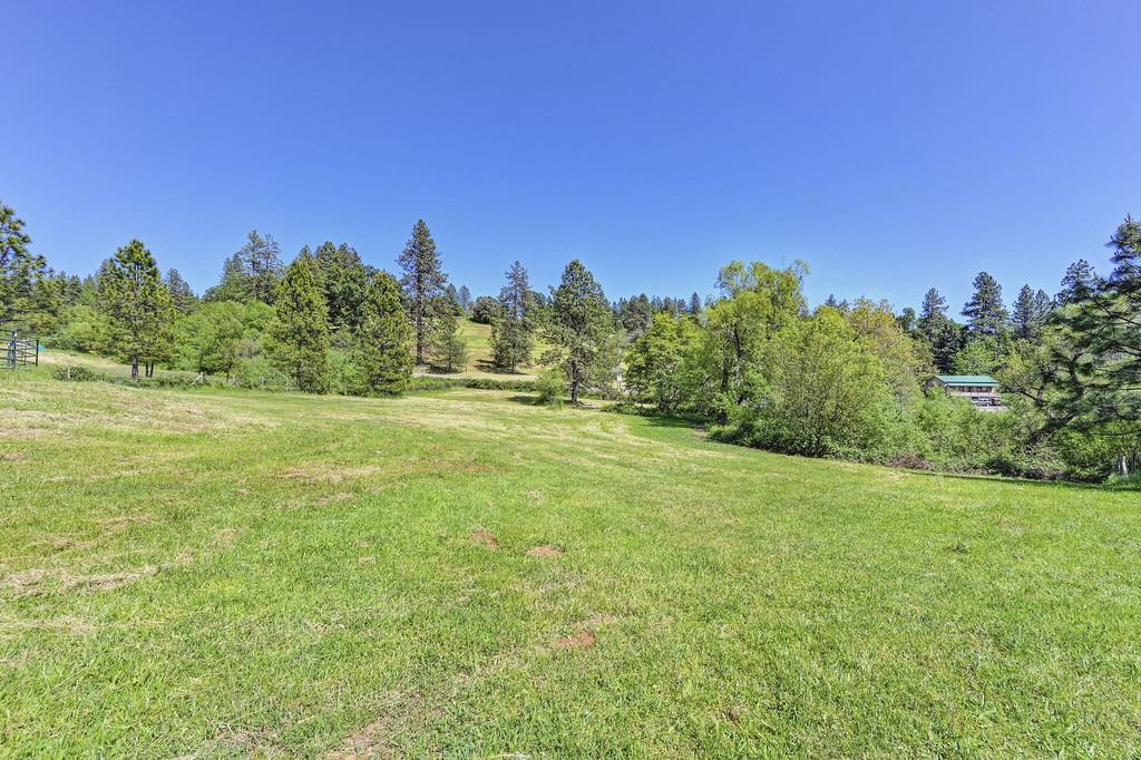 Detail Gallery Image 75 of 87 For 5155 Mac Leod Trl, Georgetown,  CA 95634 - 3 Beds | 2 Baths