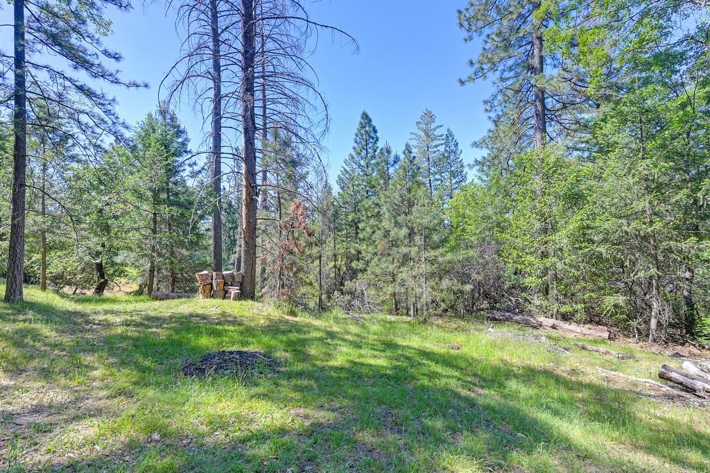 Detail Gallery Image 48 of 48 For 6202 Green Ridge Dr, Foresthill,  CA 95631 - 3 Beds | 2/1 Baths