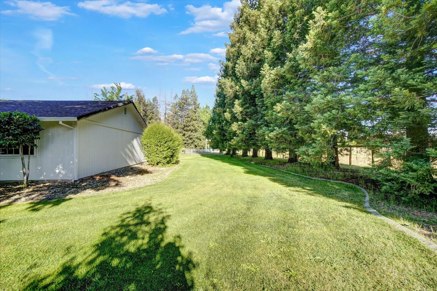 Detail Gallery Image 58 of 85 For 10363 Maggy Rd, Wilton,  CA 95693 - 4 Beds | 3/1 Baths