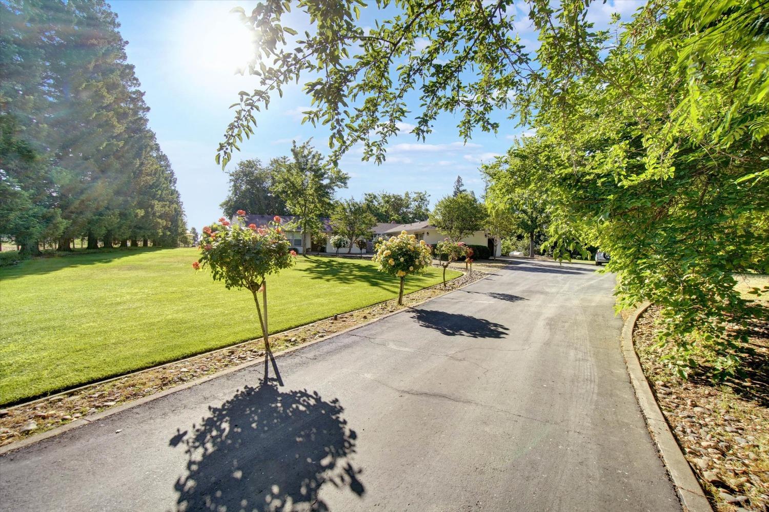 Detail Gallery Image 5 of 85 For 10363 Maggy Rd, Wilton,  CA 95693 - 4 Beds | 3/1 Baths