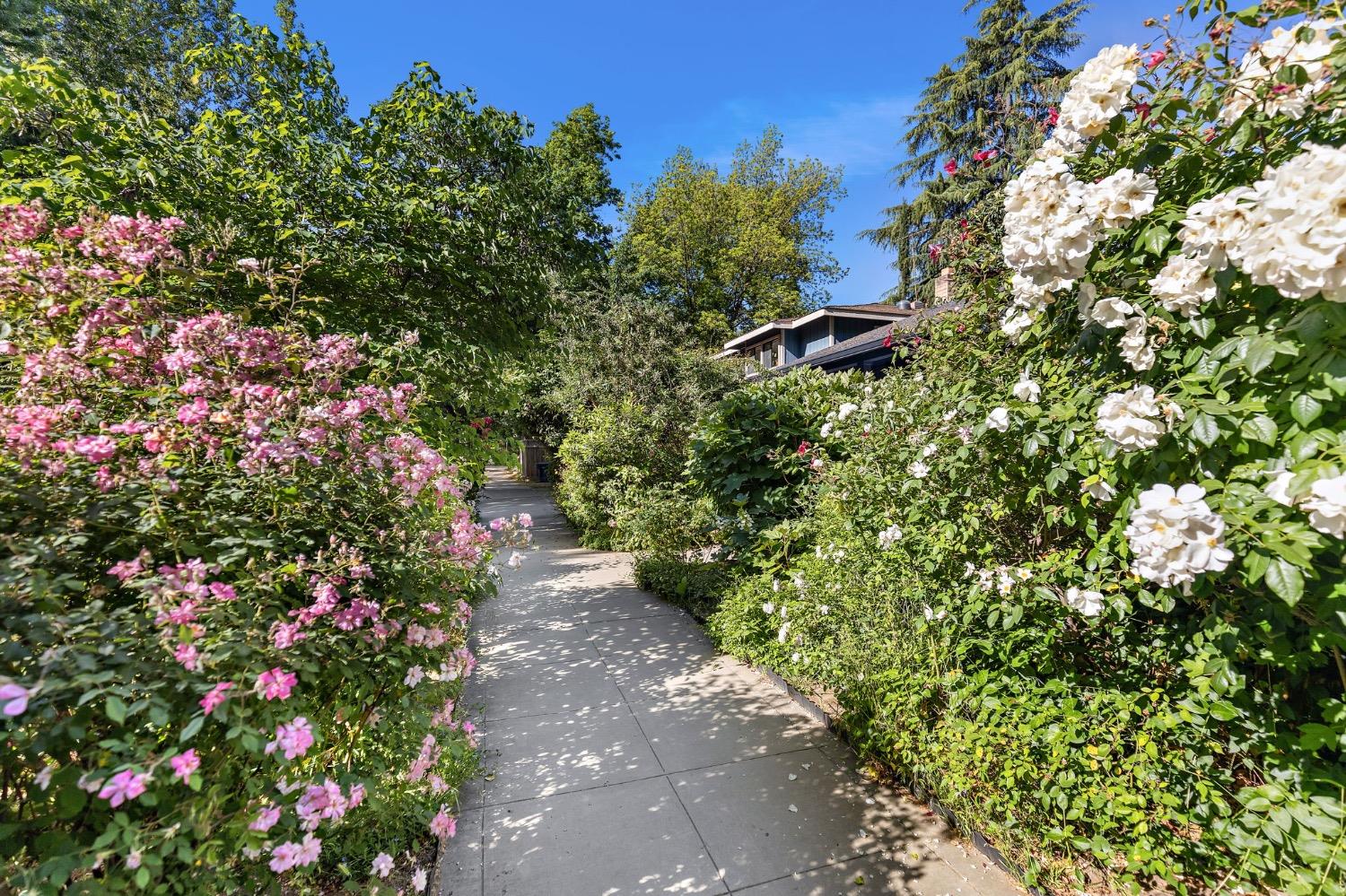 Detail Gallery Image 33 of 35 For 418 25th St, Sacramento,  CA 95816 - 3 Beds | 1 Baths