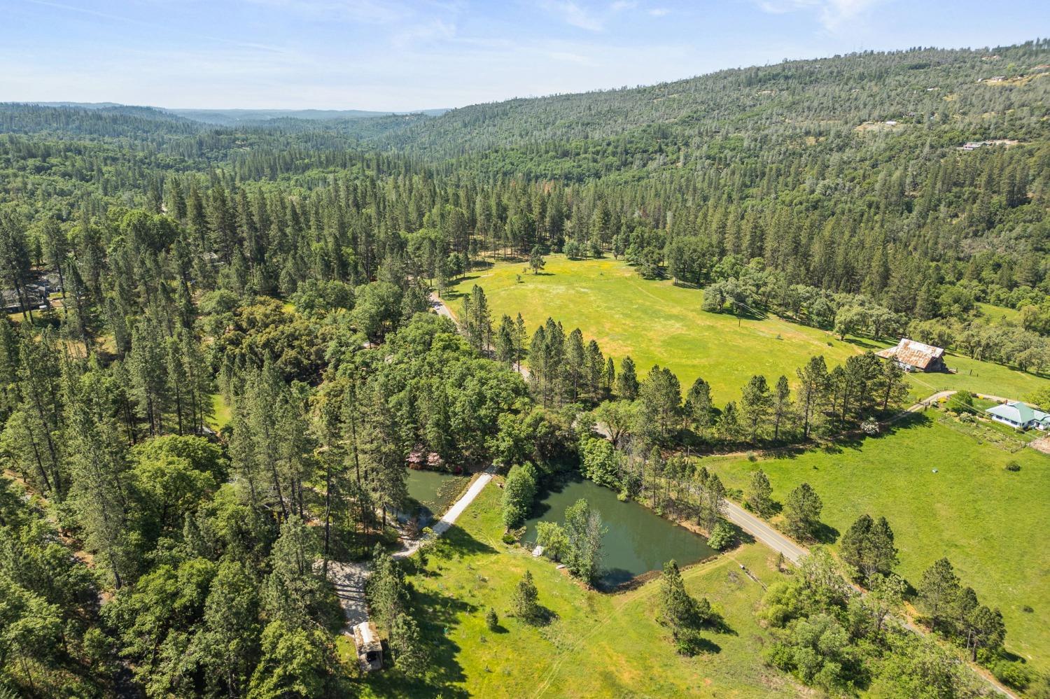 Detail Gallery Image 51 of 55 For 15583 Auburn Rd, Grass Valley,  CA 95949 - 3 Beds | 2 Baths