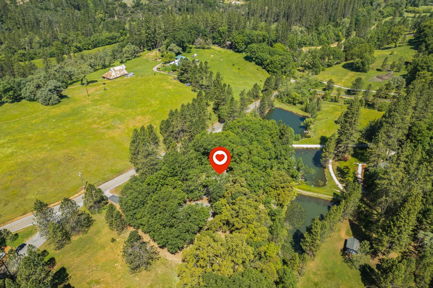 Auburn Road, Grass Valley, California image 48