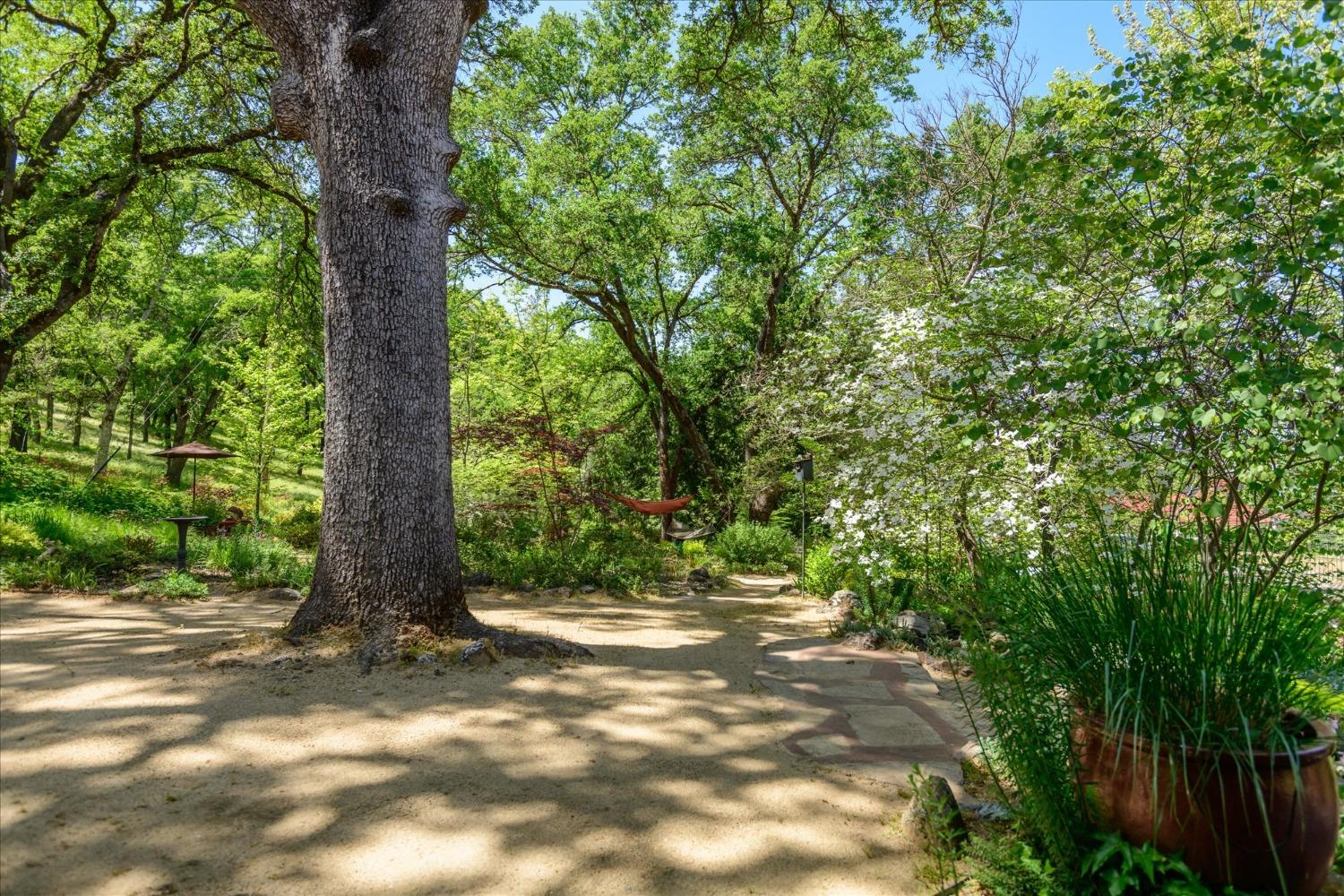Detail Gallery Image 70 of 86 For 1267 Old Rock Bridge Rd, Placerville,  CA 95667 - 3 Beds | 2 Baths