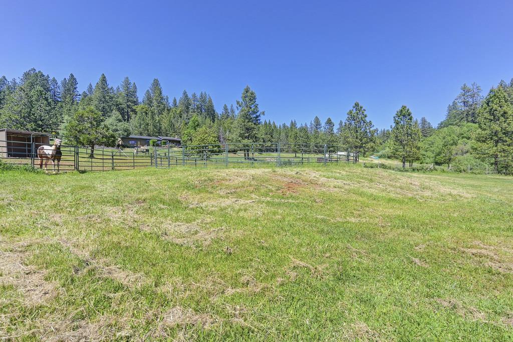 Detail Gallery Image 71 of 87 For 5155 Mac Leod Trl, Georgetown,  CA 95634 - 3 Beds | 2 Baths