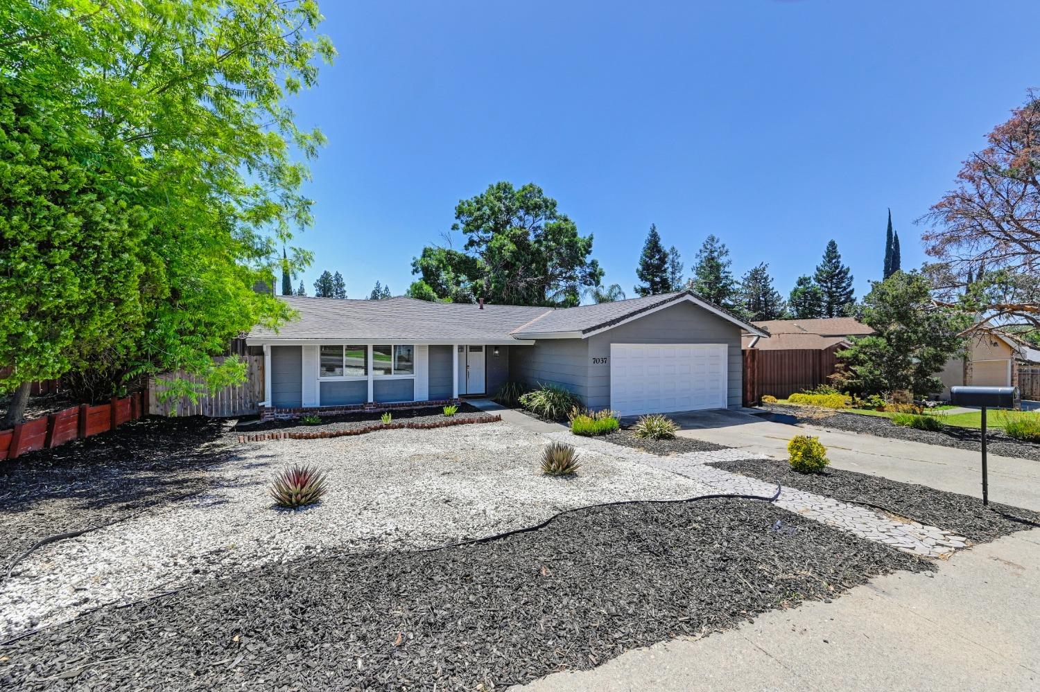Lynnetree Way, Citrus Heights, California image 4