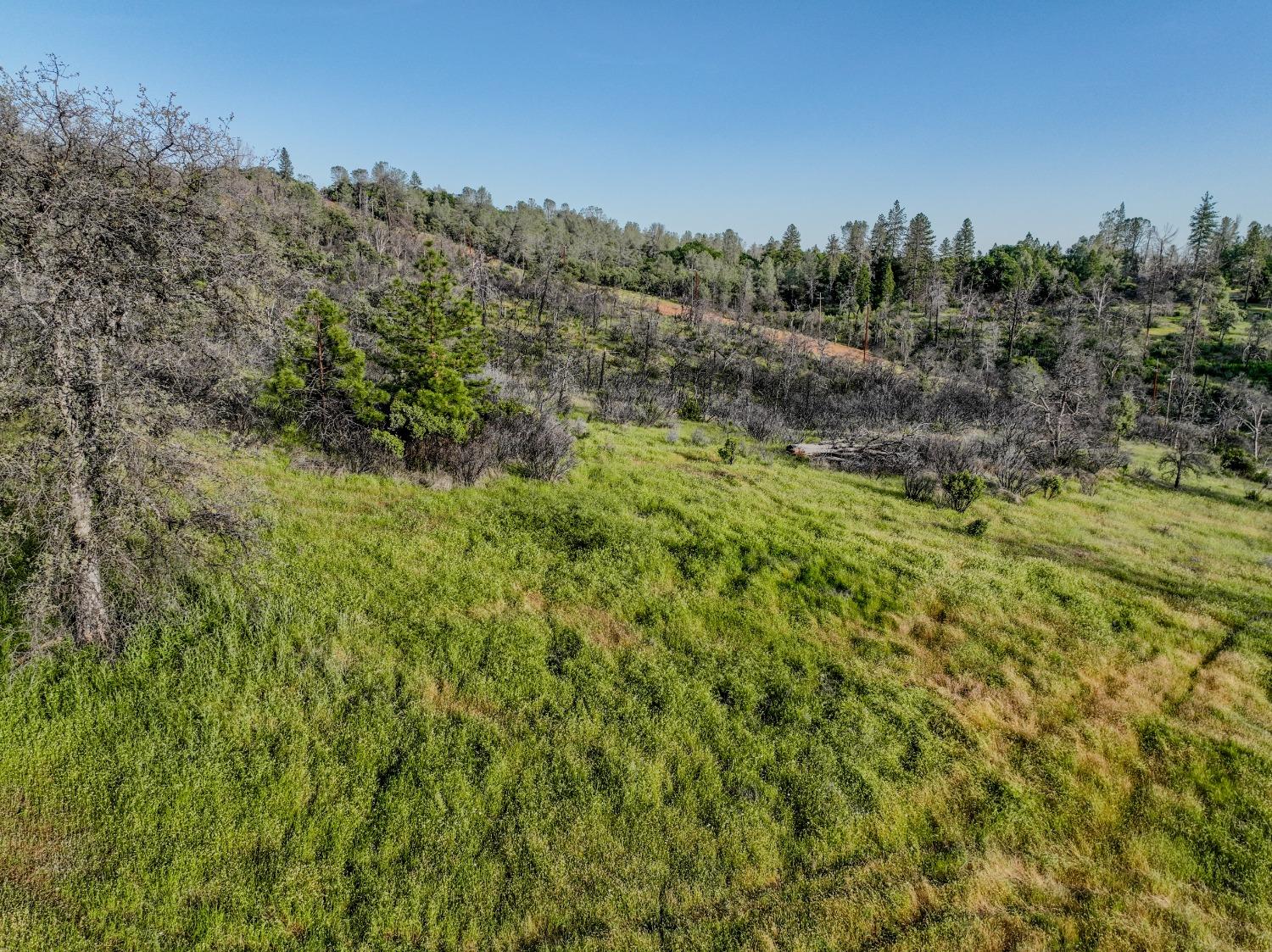 Detail Gallery Image 29 of 43 For 0 Troost Trl, North San Juan,  CA 95960 - – Beds | – Baths