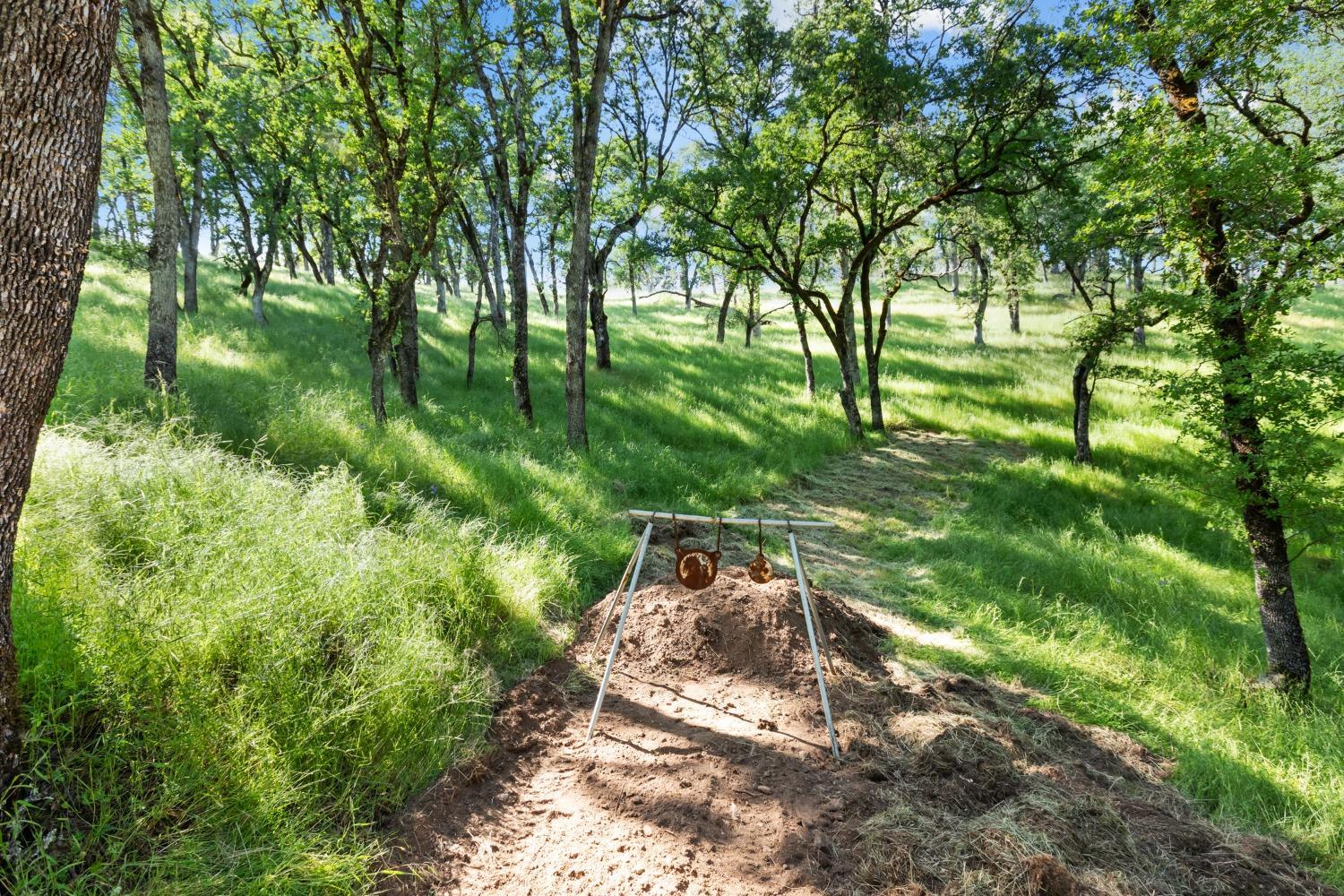 Detail Gallery Image 37 of 60 For 14883 Vaira Ranch Road, Drytown,  CA 95699 - 1 Beds | 1 Baths