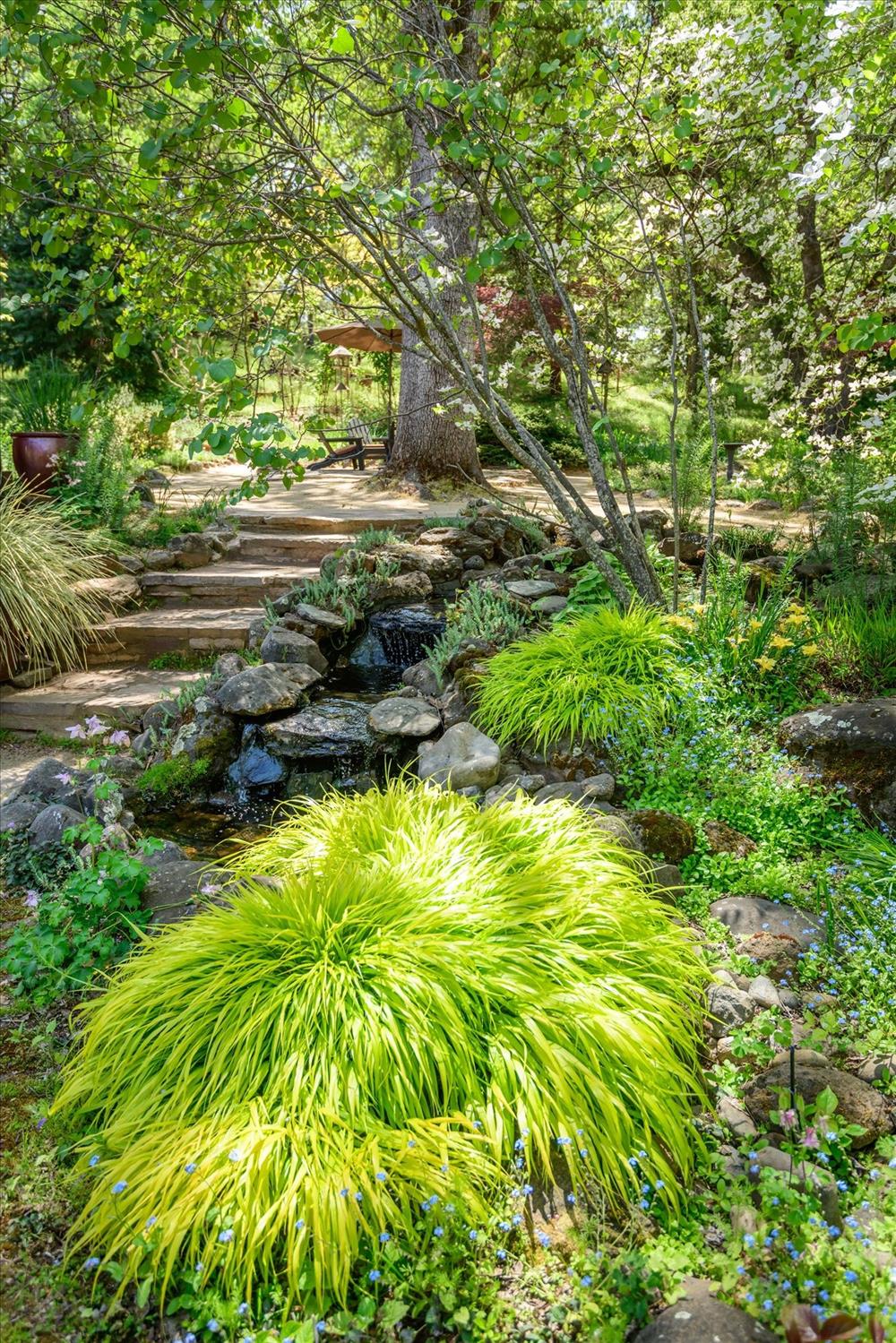 Detail Gallery Image 61 of 86 For 1267 Old Rock Bridge Rd, Placerville,  CA 95667 - 3 Beds | 2 Baths