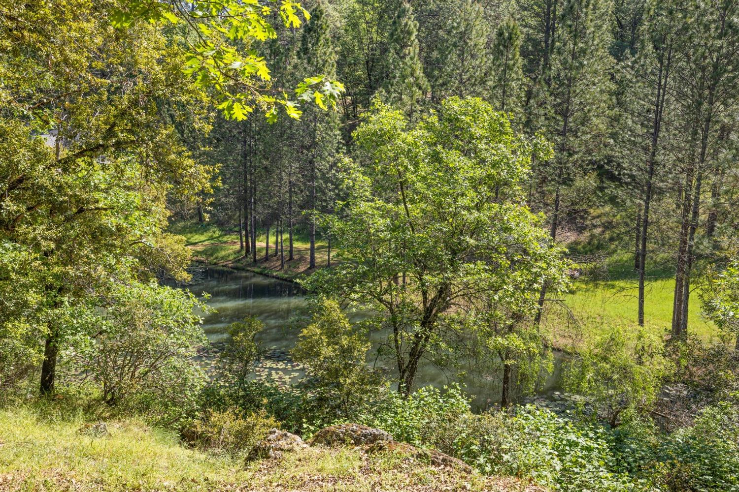 Auburn Road, Grass Valley, California image 39