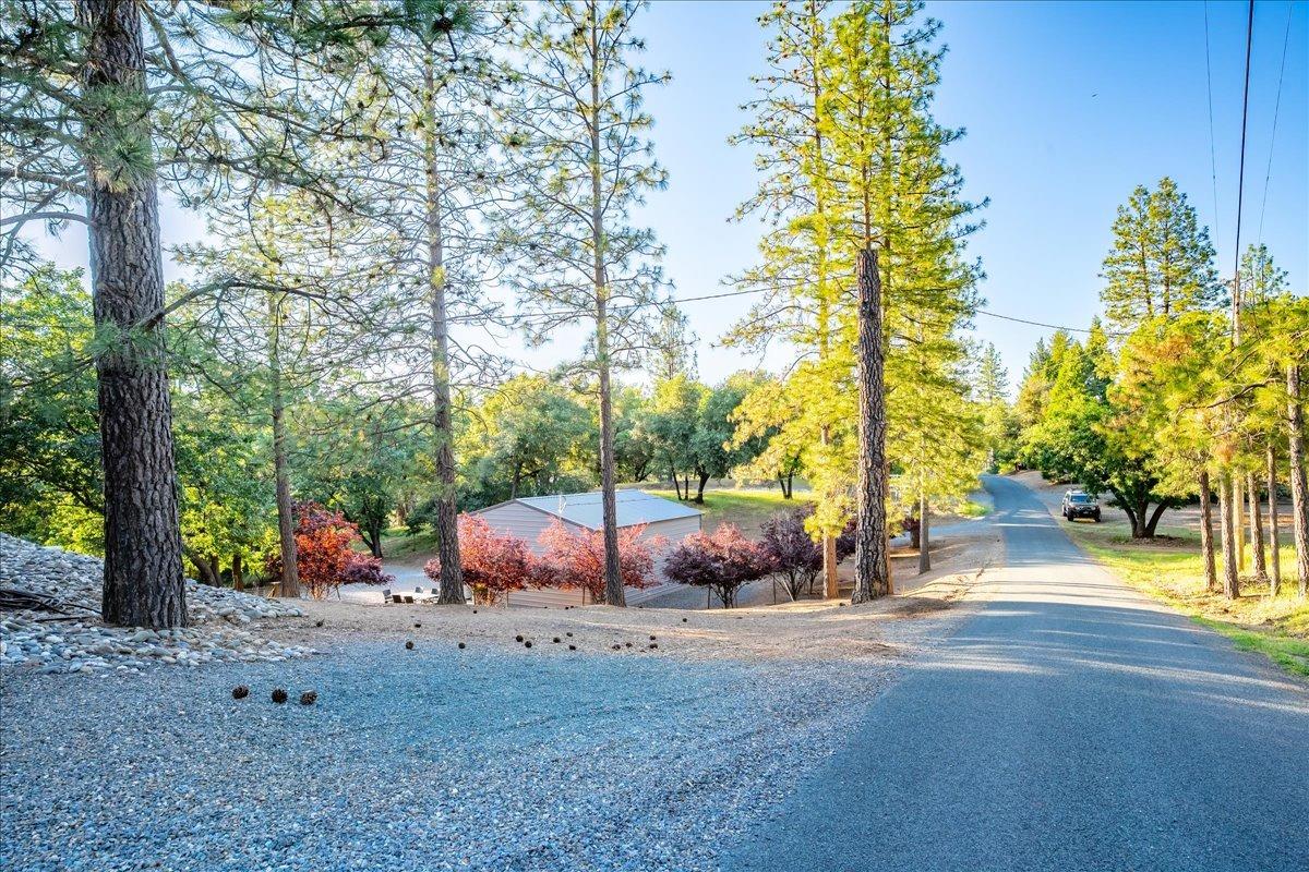 Detail Gallery Image 83 of 98 For 6340 Roller Coaster Rd, Garden Valley,  CA 95633 - 4 Beds | 3/1 Baths