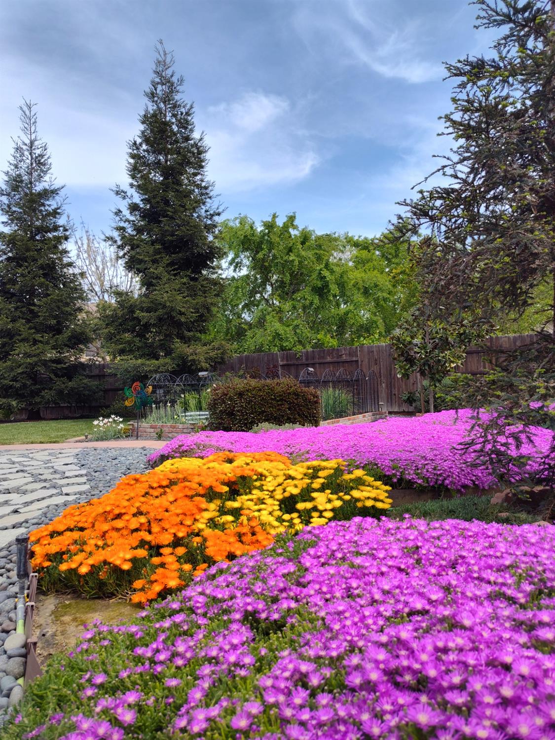 Detail Gallery Image 50 of 77 For 8526 Tullia Pl, Antelope,  CA 95843 - 4 Beds | 2 Baths