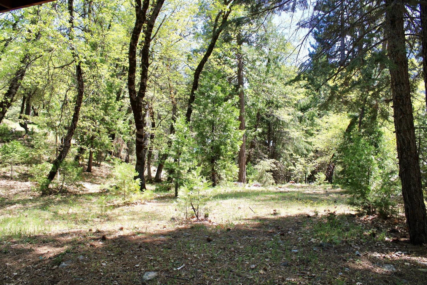 Detail Gallery Image 16 of 17 For 17 Squirrel Hollow, Sierra City,  CA 96125 - 3 Beds | 1 Baths