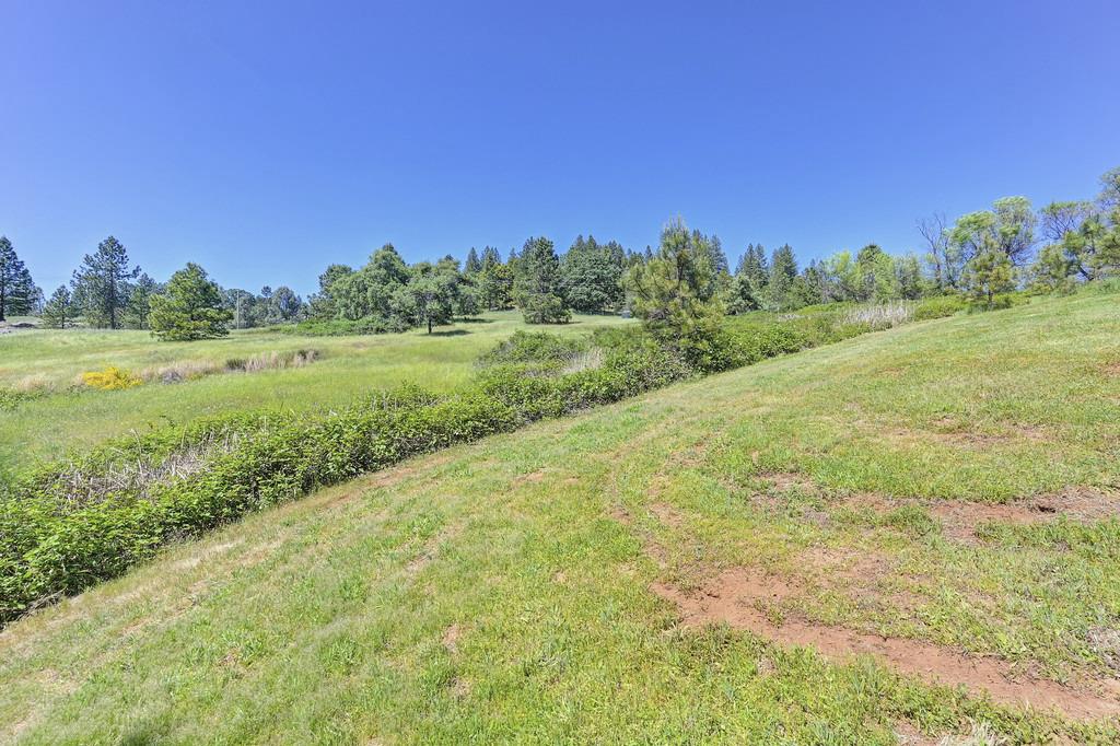 Detail Gallery Image 59 of 87 For 5155 Mac Leod Trl, Georgetown,  CA 95634 - 3 Beds | 2 Baths
