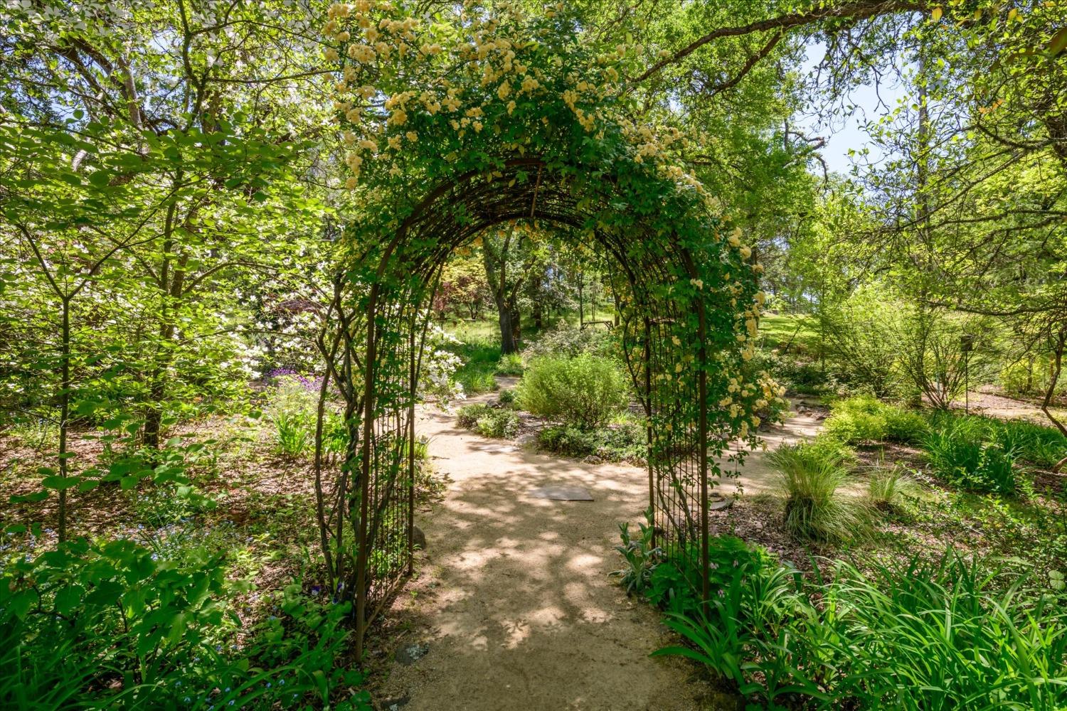 Detail Gallery Image 48 of 86 For 1267 Old Rock Bridge Rd, Placerville,  CA 95667 - 3 Beds | 2 Baths