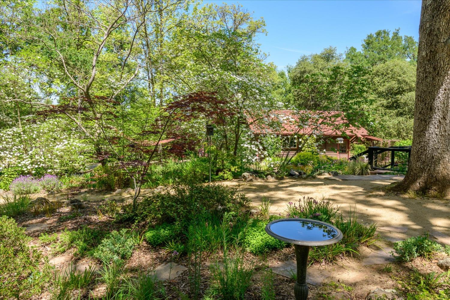 Detail Gallery Image 57 of 86 For 1267 Old Rock Bridge Rd, Placerville,  CA 95667 - 3 Beds | 2 Baths