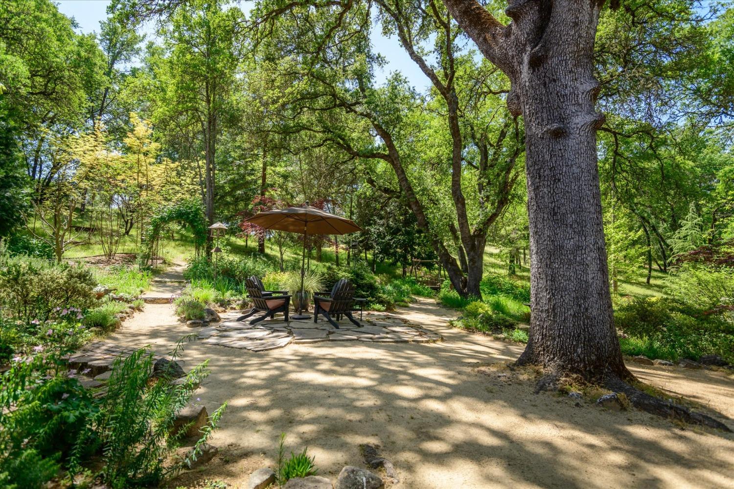 Detail Gallery Image 50 of 86 For 1267 Old Rock Bridge Rd, Placerville,  CA 95667 - 3 Beds | 2 Baths