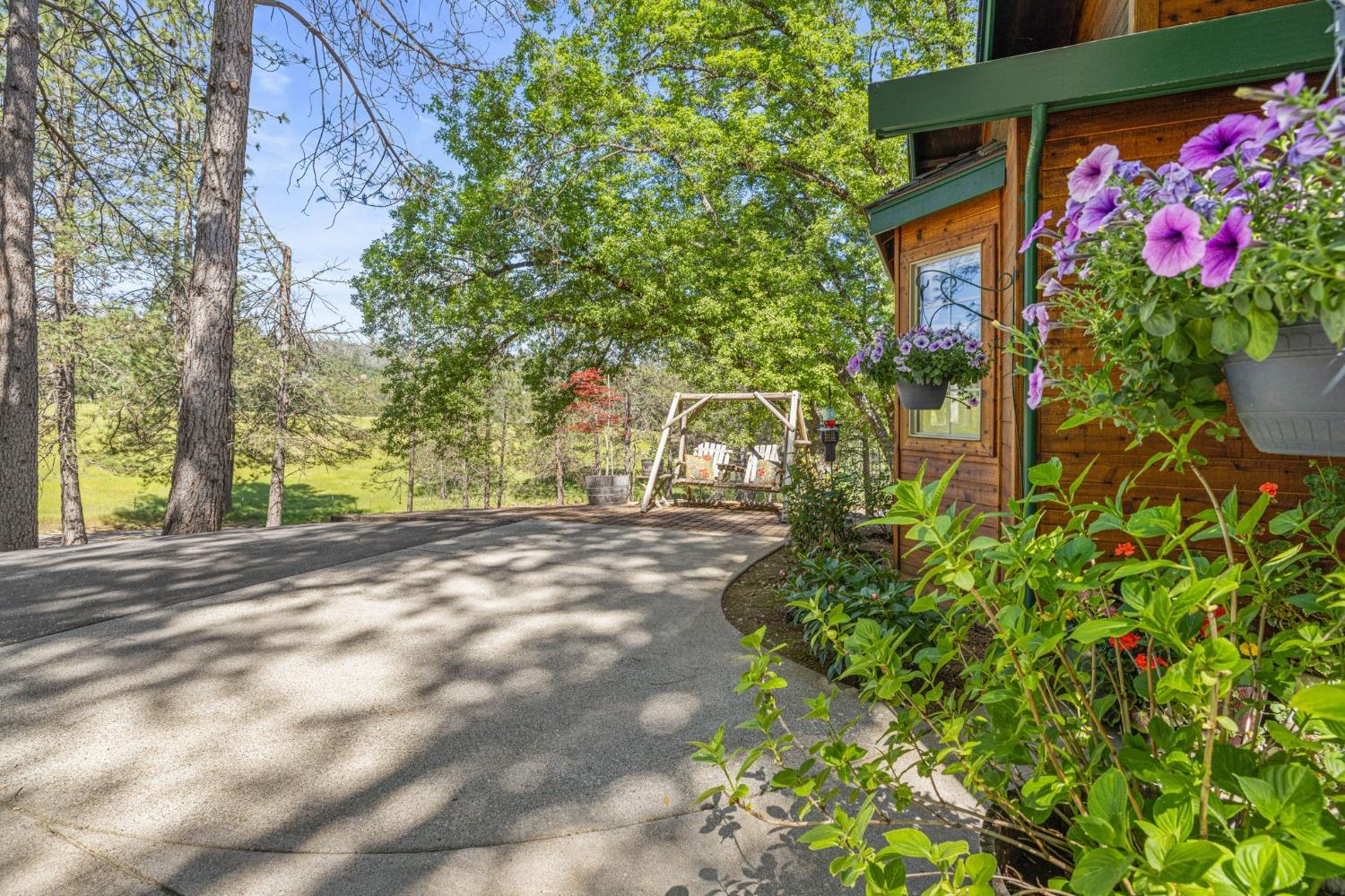 Auburn Road, Grass Valley, California image 41