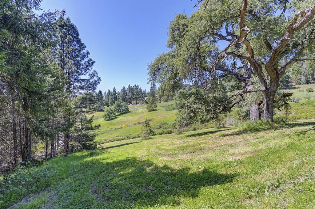 Detail Gallery Image 58 of 87 For 5155 Mac Leod Trl, Georgetown,  CA 95634 - 3 Beds | 2 Baths