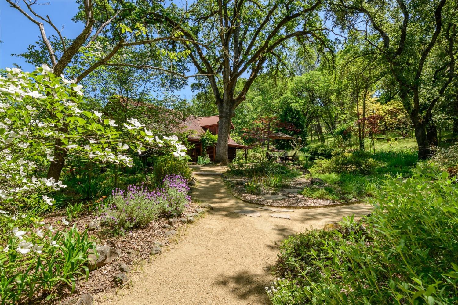 Detail Gallery Image 51 of 86 For 1267 Old Rock Bridge Rd, Placerville,  CA 95667 - 3 Beds | 2 Baths
