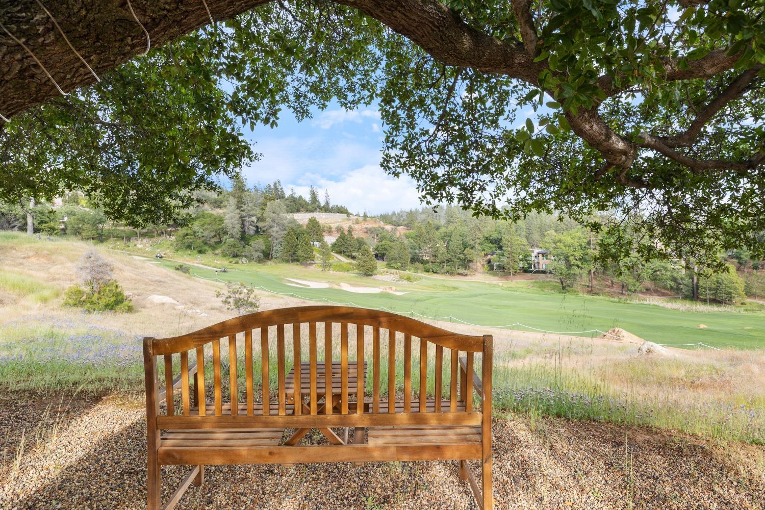 Detail Gallery Image 60 of 64 For 2056 Long View Dr, Meadow Vista,  CA 95722 - 4 Beds | 5/1 Baths