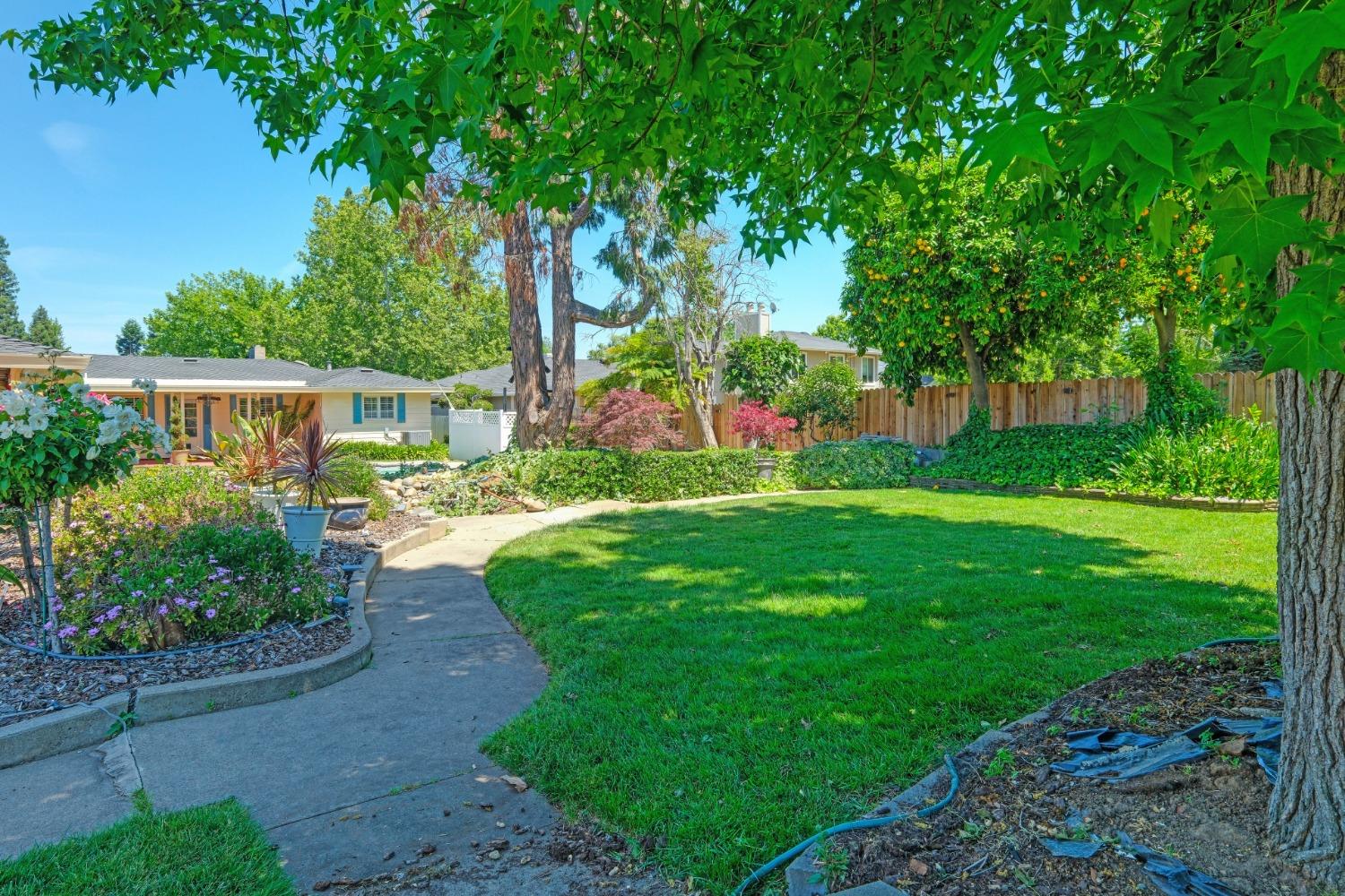 San Ysidro Way, Sacramento, California image 45