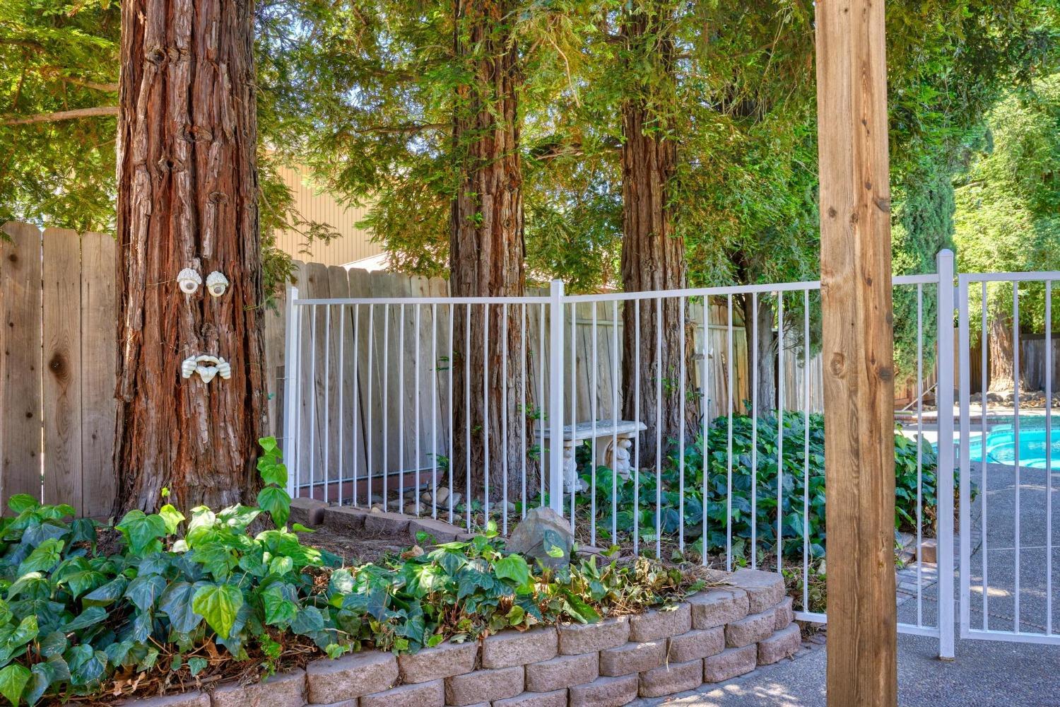Detail Gallery Image 38 of 48 For 1171 Hidden Meadow, Manteca,  CA 95337 - 5 Beds | 3 Baths