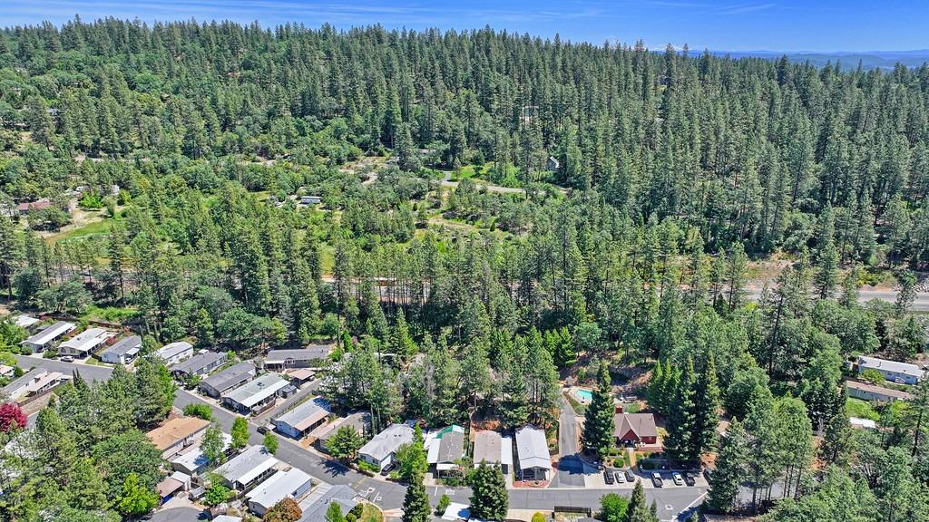 Detail Gallery Image 45 of 56 For 13948 Golden Star Rd, Grass Valley,  CA 95949 - 2 Beds | 2 Baths