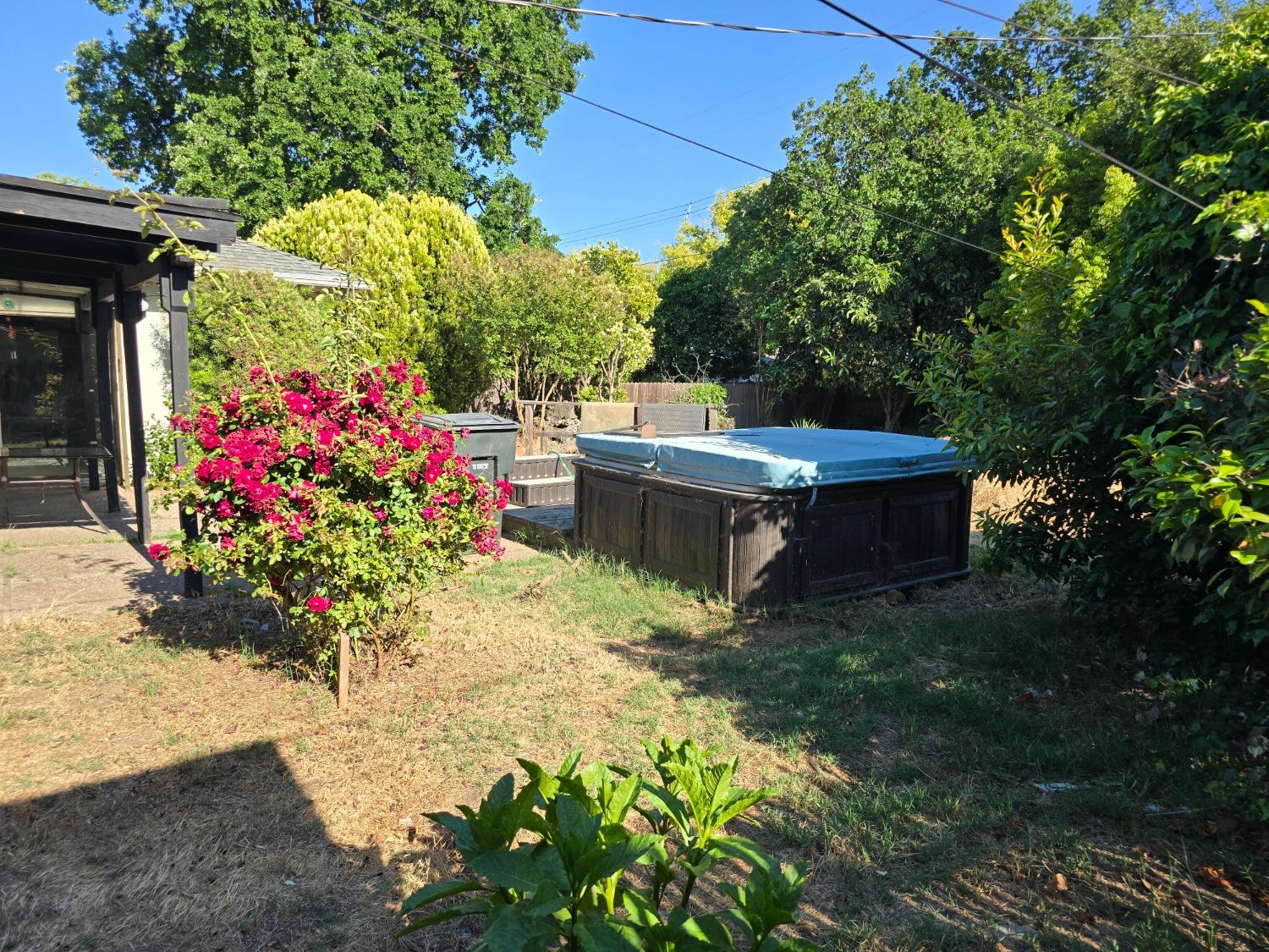 Lucio Lane, Sacramento, California image 42