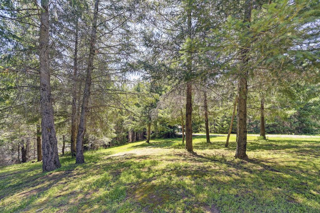 Detail Gallery Image 55 of 87 For 5155 Mac Leod Trl, Georgetown,  CA 95634 - 3 Beds | 2 Baths