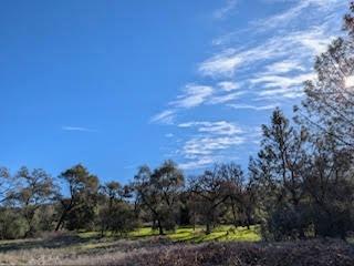 Penny Lane, Lincoln, California image 9