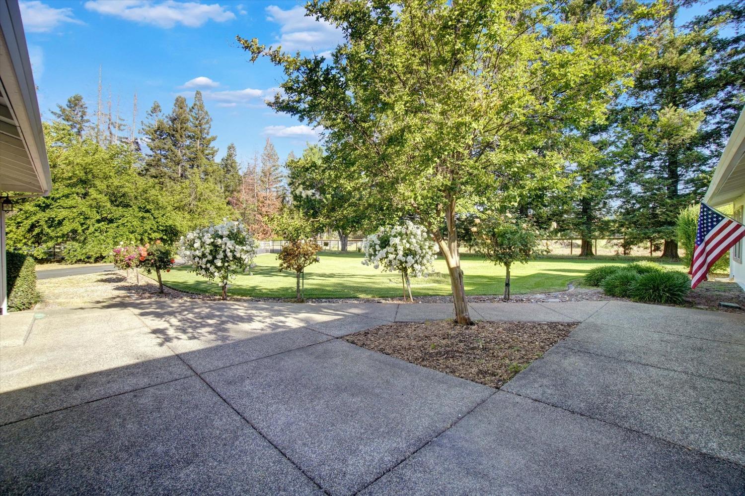 Detail Gallery Image 47 of 85 For 10363 Maggy Rd, Wilton,  CA 95693 - 4 Beds | 3/1 Baths