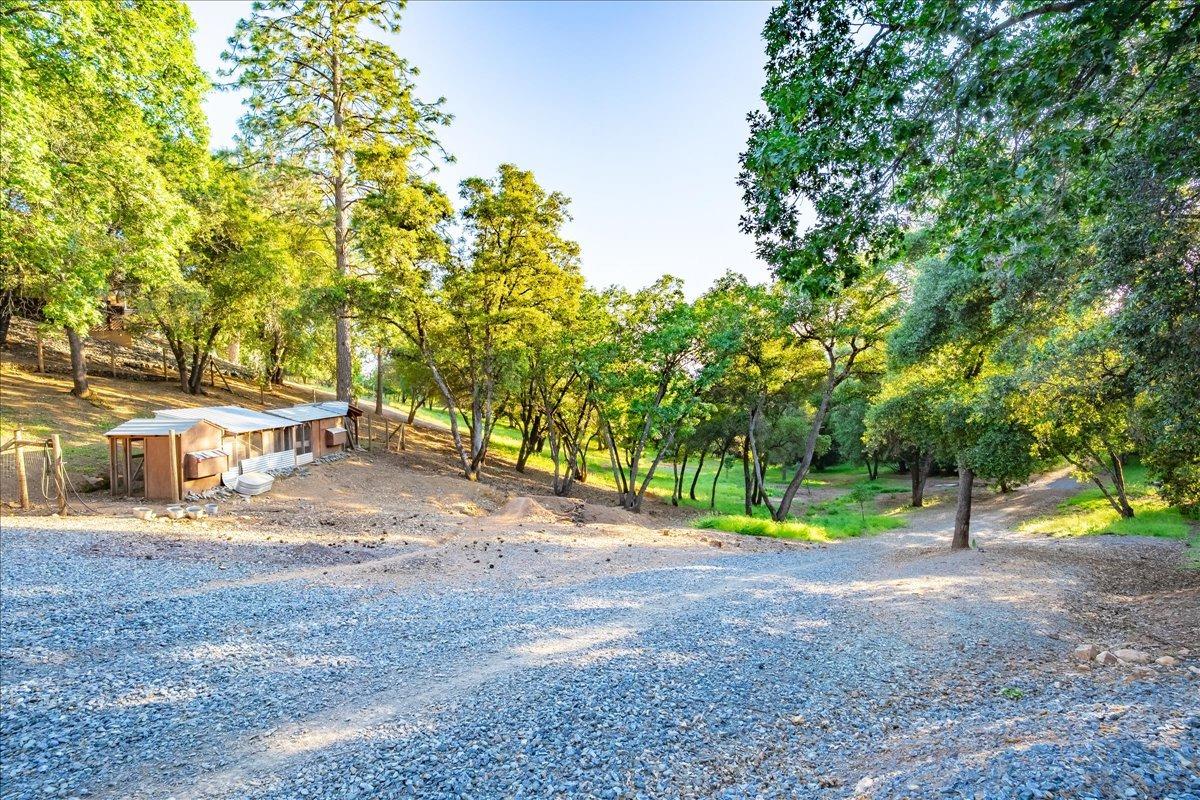 Detail Gallery Image 77 of 98 For 6340 Roller Coaster Rd, Garden Valley,  CA 95633 - 4 Beds | 3/1 Baths