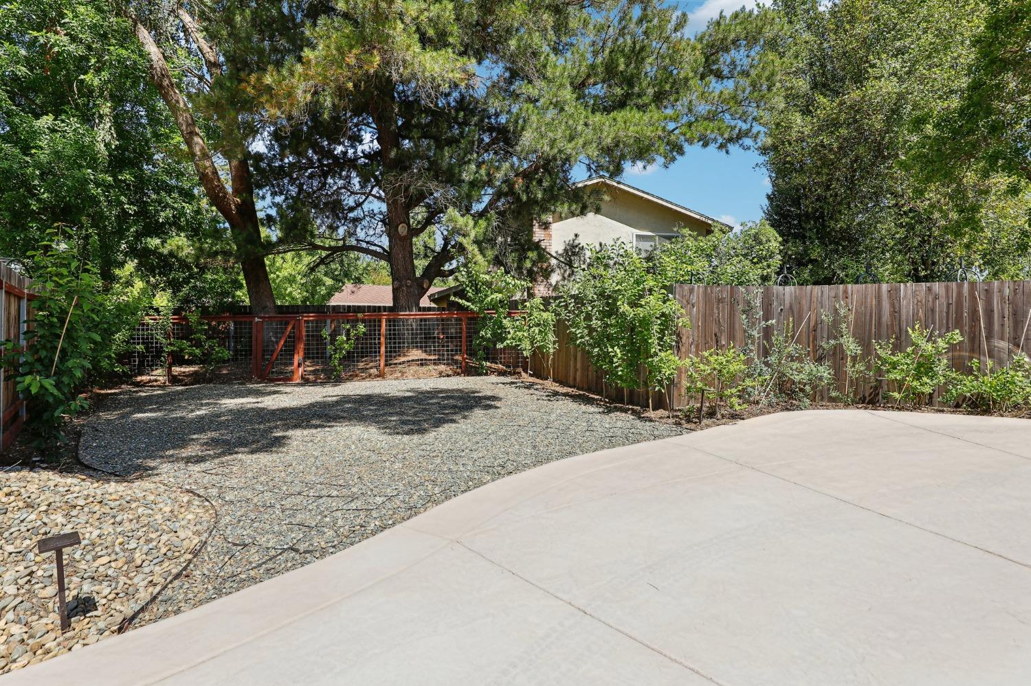 Alameda Ave, Davis, California image 49