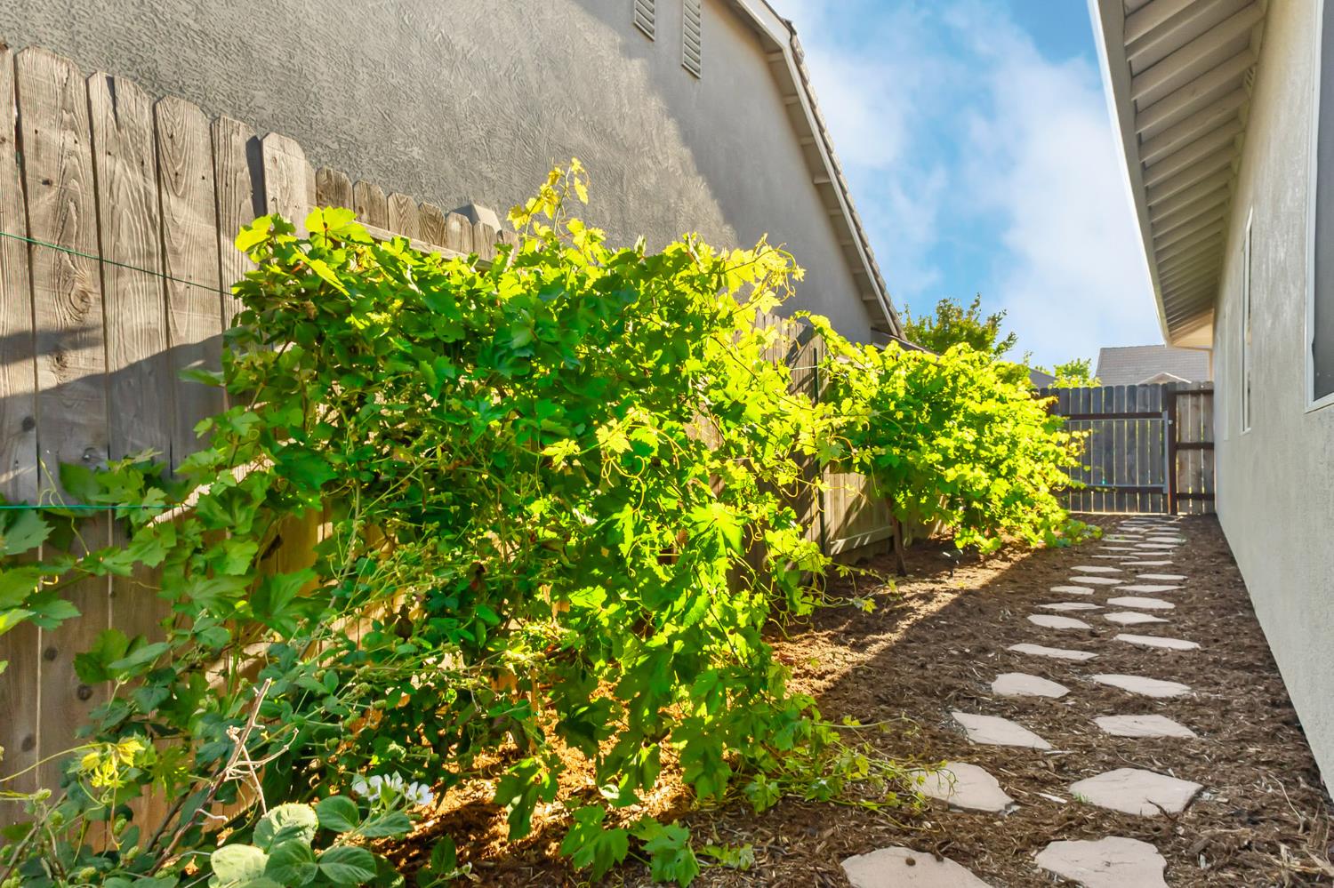 Detail Gallery Image 17 of 30 For 1930 Cinnamon Teal Ct, Gridley,  CA 95948 - 4 Beds | 2 Baths