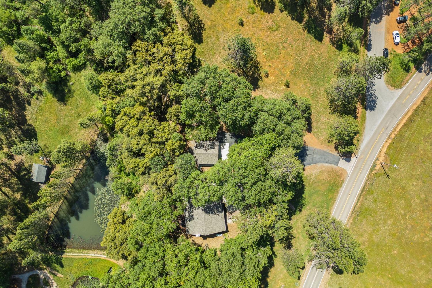 Auburn Road, Grass Valley, California image 5