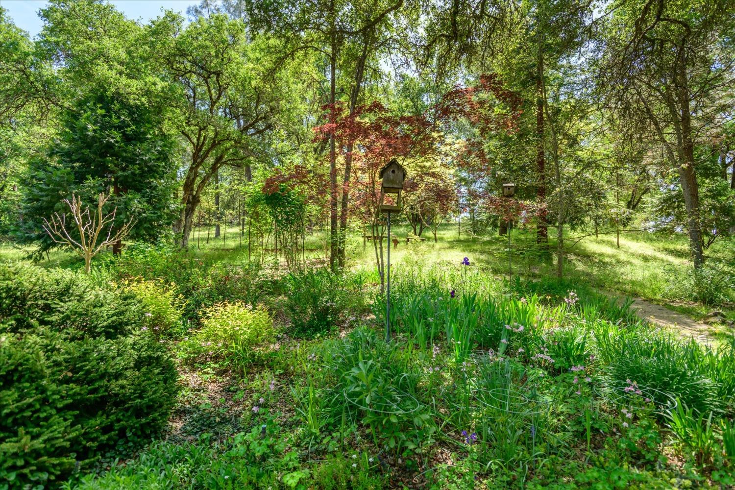 Detail Gallery Image 69 of 86 For 1267 Old Rock Bridge Rd, Placerville,  CA 95667 - 3 Beds | 2 Baths