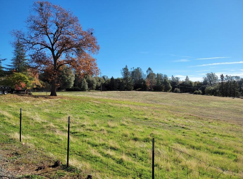 Detail Gallery Image 11 of 13 For 21792 Trotter Rd, Grass Valley,  CA 95949 - 3 Beds | 2 Baths