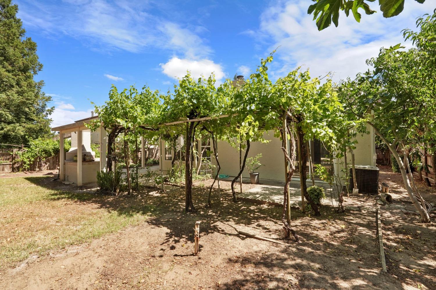 Detail Gallery Image 42 of 48 For 2607 W Elm St, Lodi,  CA 95242 - 3 Beds | 2 Baths