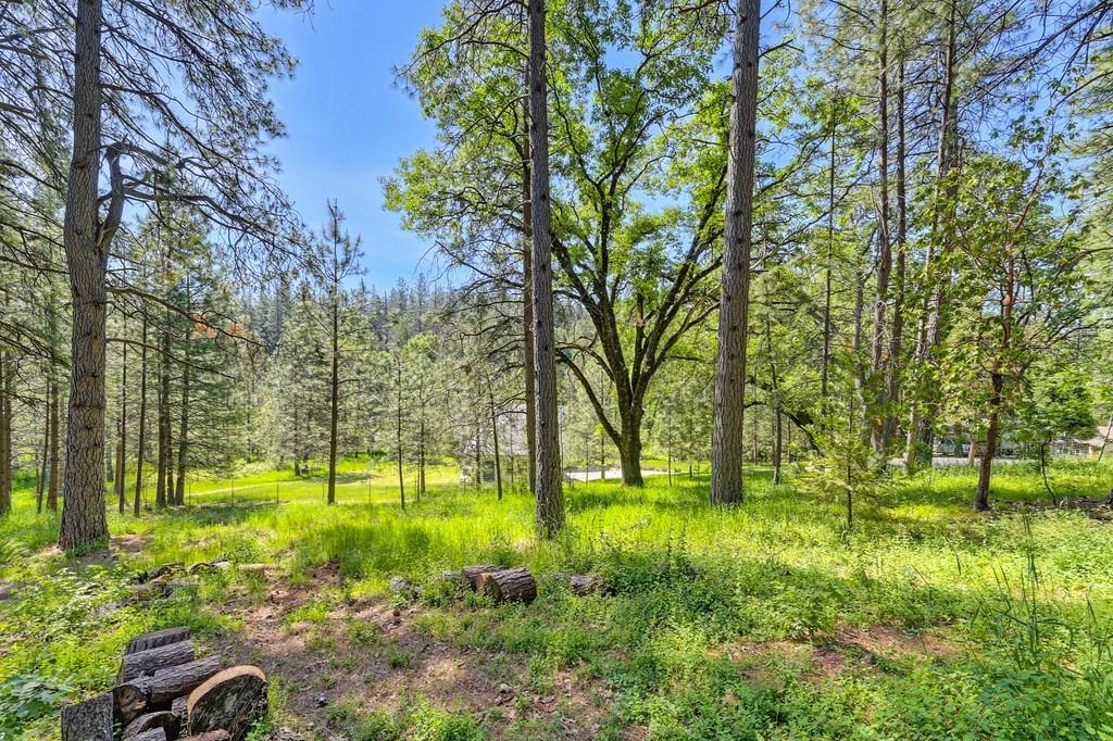 Detail Gallery Image 60 of 80 For 6127 Silverleaf Dr, Foresthill,  CA 95631 - 3 Beds | 2 Baths